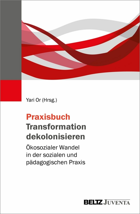 Praxisbuch Transformation dekolonisieren - 