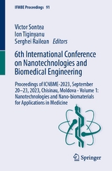 6th International Conference on Nanotechnologies and Biomedical Engineering - 