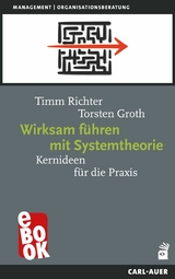 Wirksam führen mit Systemtheorie - Timm Richter, Torsten Groth