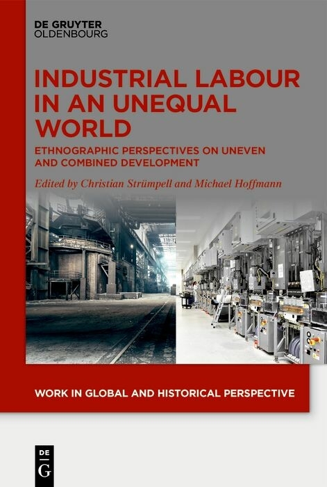 Industrial Labour in an Unequal World - 