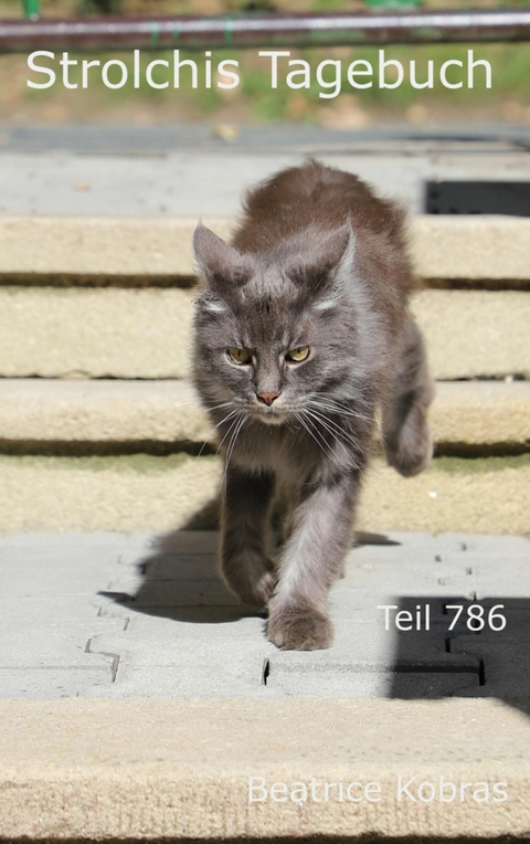 Strolchis Tagebuch - Teil 786 - Beatrice Kobras