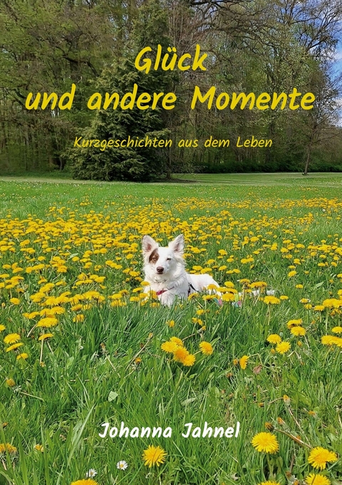 Glück und andere Momente - Johanna Jahnel