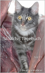 Strolchis Tagebuch - Teil 11 - Beatrice Kobras