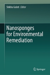 Nanosponges for Environmental Remediation - 