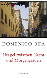 Neapel zwischen Nacht und Morgengrauen - Domenico Rea