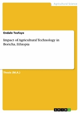 Impact of Agricultural Technology in Boricha, Ethiopia -  Endale Tesfaye