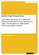 Valorisation des stocks de carbone des plantations forestières de la Commune de Lagdo, Nord-Cameroun. Opportunité d'accès au marché carbone -  Ezéchiel Arnaud Tchopwe Damou