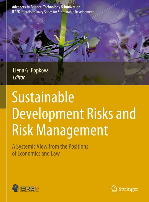 Sustainable Development Risks and Risk Management - 