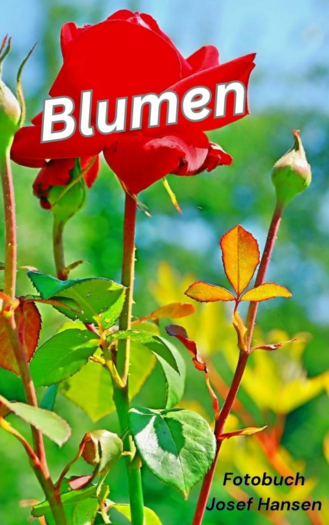 Blumen - Josef Hansen