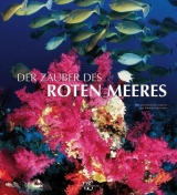 Zauber des Roten Meeres