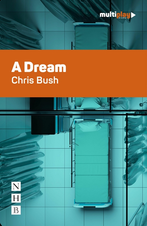 A Dream (NHB Modern Plays) -  Chris Bush