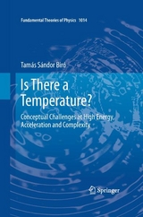 Is There a Temperature? - Tamás Sándor Biró