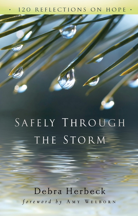 Safely Through the Storm -  Debra Herbeck