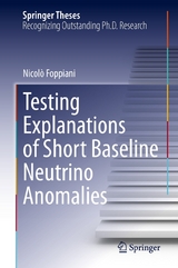 Testing Explanations of Short Baseline Neutrino Anomalies - Nicolò Foppiani