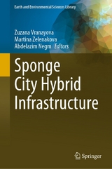 Sponge City Hybrid Infrastructure - 