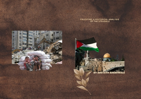 Palestine: A Historical Analysis of the Struggle - Adebowale Adetayo