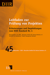 Leitfaden zur Prüfung von Projekten - Robert Düsterwald, Ulrich Schwarz, Kai Trinkaus, Michael Peis, Susanne Fries-Palm