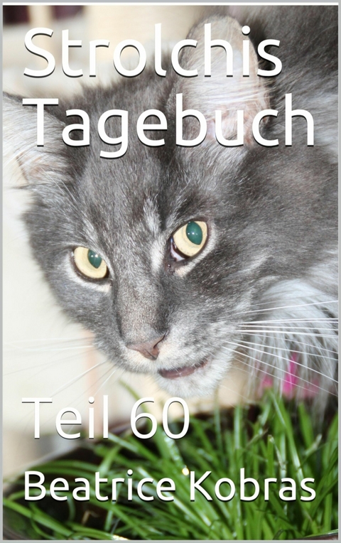 Strolchis Tagebuch - Teil 60 - Beatrice Kobras