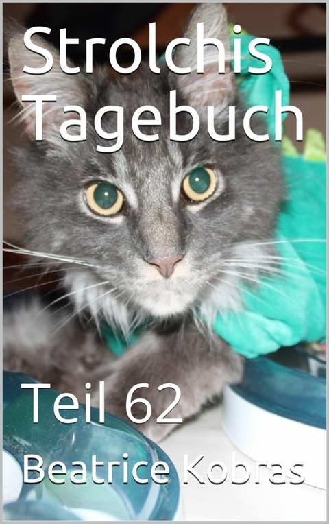 Strolchis Tagebuch - Teil 62 - Beatrice Kobras