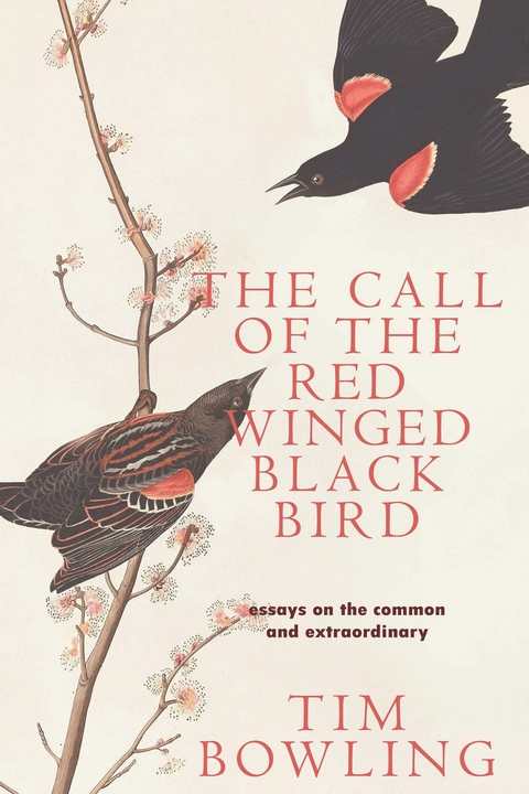 The Call of the Red-Winged Blackbird - Tim Bowling