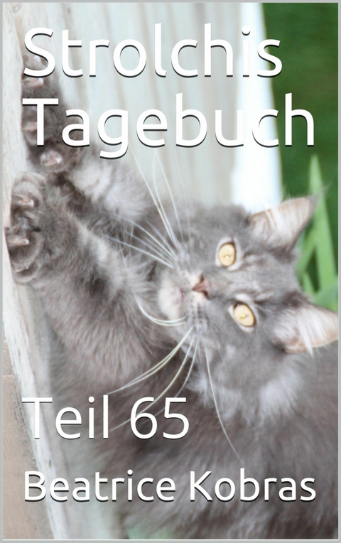 Strolchis Tagebuch - Teil 65 - Beatrice Kobras