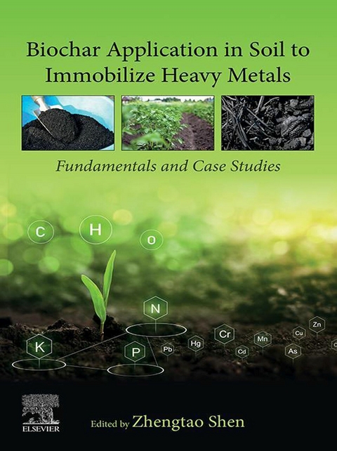 Biochar Application in Soil to Immobilize Heavy Metals - 