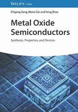 Metal Oxide Semiconductors -  Zhigang Zang,  Wensi Cai,  Yong Zhou