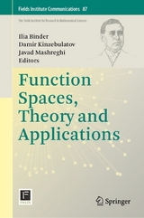 Function Spaces, Theory and Applications - 