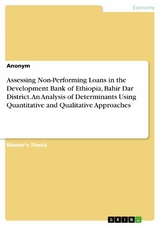 Assessing Non-Performing Loans in the Development Bank of Ethiopia, Bahir Dar District. An Analysis of Determinants Using Quantitative and Qualitative Approaches -  Anonymous