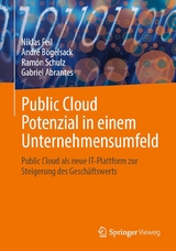 Public Cloud Potenzial in einem Unternehmensumfeld - Niklas Feil, André Bögelsack, Ramón Schulz, Gabriel Abrantes