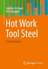 Hot Work Tool Steel - Joachim Schlegel, Till Schneiders