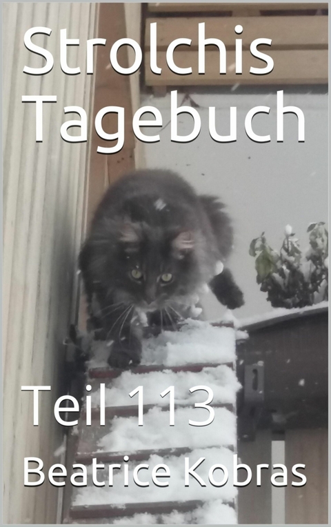 Strolchis Tagebuch - Teil 113 - Beatrice Kobras