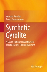 Synthetic Gyrolite - Kęstutis Baltakys, Tadas Dambrauskas