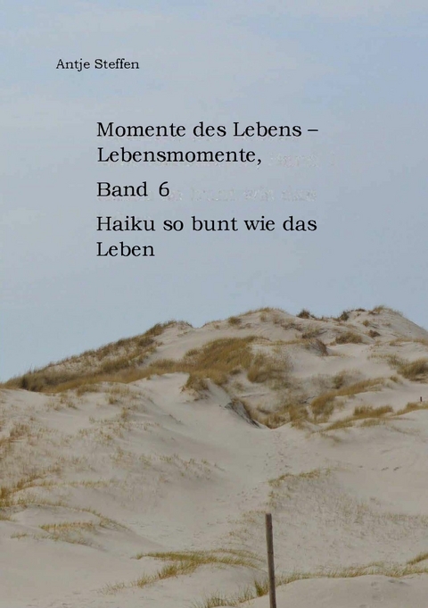 Momente des Lebens - Lebensmomente Band 6 - Antje Steffen