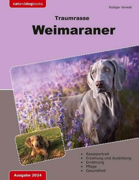 Traumrasse: Weimaraner - Rüdiger Vorwall