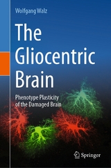 The Gliocentric Brain - Wolfgang Walz