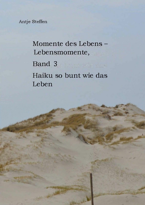 Momente des Lebens - Lebensmomente Band 3 - Antje Steffen