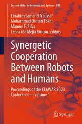 Synergetic Cooperation Between Robots and Humans - 