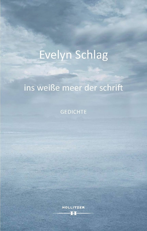 ins weiße meer der schrift - Evelyn Schlag