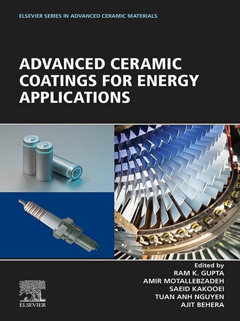 Advanced Ceramic Coatings for Energy Applications - 