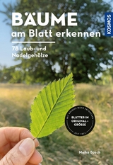 Bäume am Blatt erkennen - 78 Laub- und Nadelgehölze. Blätter in Originalgröße - Meike Bosch