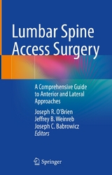 Lumbar Spine Access Surgery - 