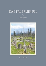 Das Tal Irminsul - Martin Welsch