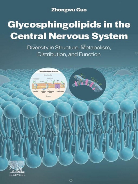 Glycosphingolipids in the Central Nervous System -  Zhongwu Guo