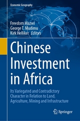 Chinese Investment in Africa - 