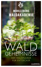 Waldgeheimnisse -  Wohllebens Waldakademie