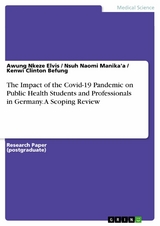 The Impact of the Covid-19 Pandemic on Public Health Students and Professionals in Germany. A Scoping Review -  Awung Nkeze Elvis,  Nsuh Naomi Manika'a,  Kenwi Clinton Befung