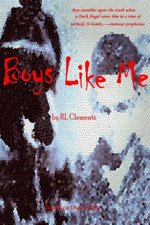 Boys Like Me -  R.L. Clements