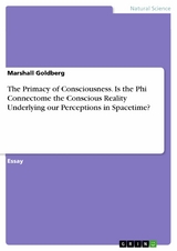 The Primacy of Consciousness. Is the Phi Connectome the Conscious Reality Underlying our Perceptions in Spacetime? -  Marshall Goldberg