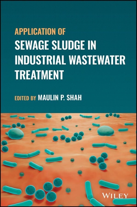 Application of Sewage Sludge in Industrial Wastewater Treatment - 